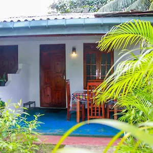 Sun Flower Homestay