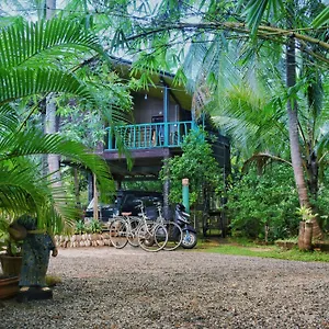 Passion Ray & Tree Hut Homestay